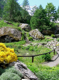 Riapre al pubblico il Giardino Botanico Alpino Paradisia
