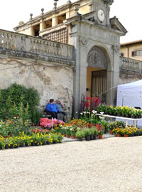 A Villa Caruso, piante rare e zafferano